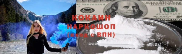 сатива Армянск
