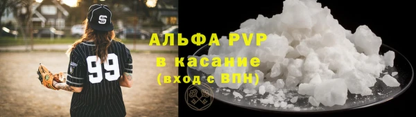 ешки Новодвинск