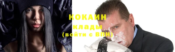 ешки Новодвинск