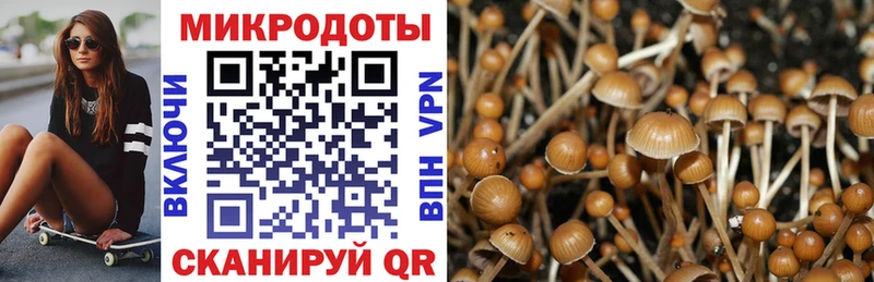Галлюциногенные грибы Psilocybe  Соликамск 